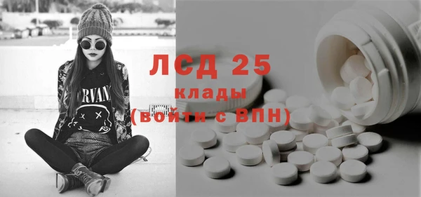 хмурый Арсеньев