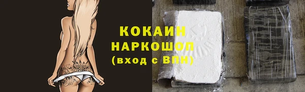 прущий лед Алзамай