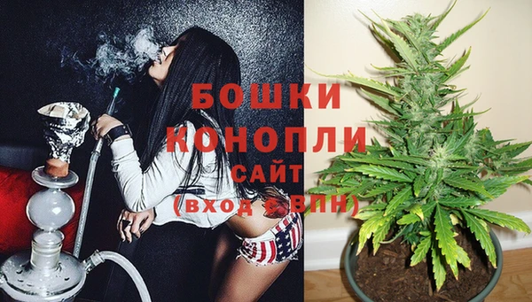 хмурый Арсеньев