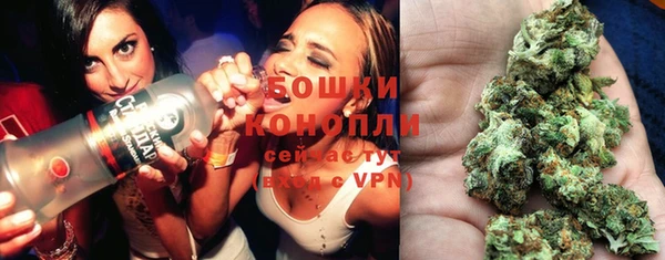 прущие грибы Абдулино
