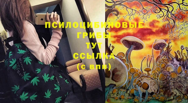 стаф Алексин