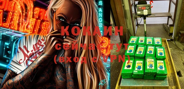 стаф Алексин