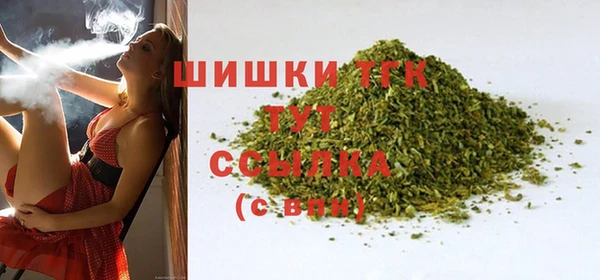 хмурый Арсеньев