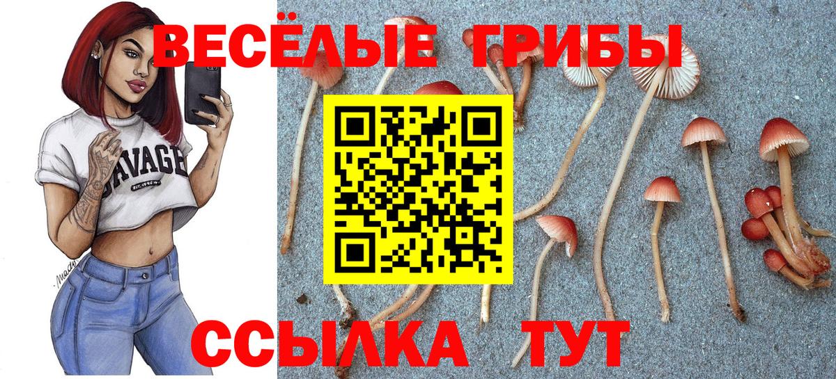 Галлюциногенные грибы MAGIC MUSHROOMS Невинномысск