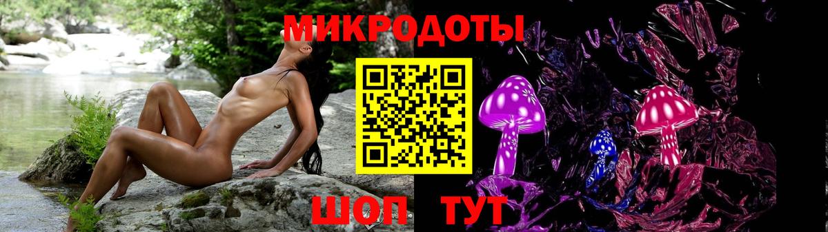 Невинномысск  Галлюциногенные грибы Psilocybe  как найти наркотики  Вход с VPN 