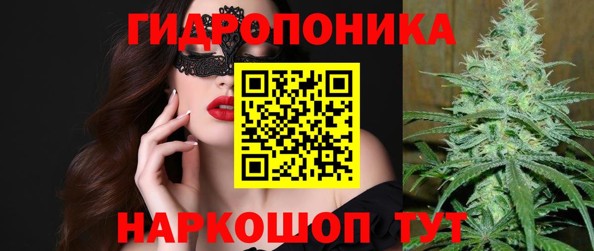 Бошки Шишки LSD WEED  Конопля план  Невинномысск  Вход с VPN  Бошки Шишки ГИДРОПОН 
